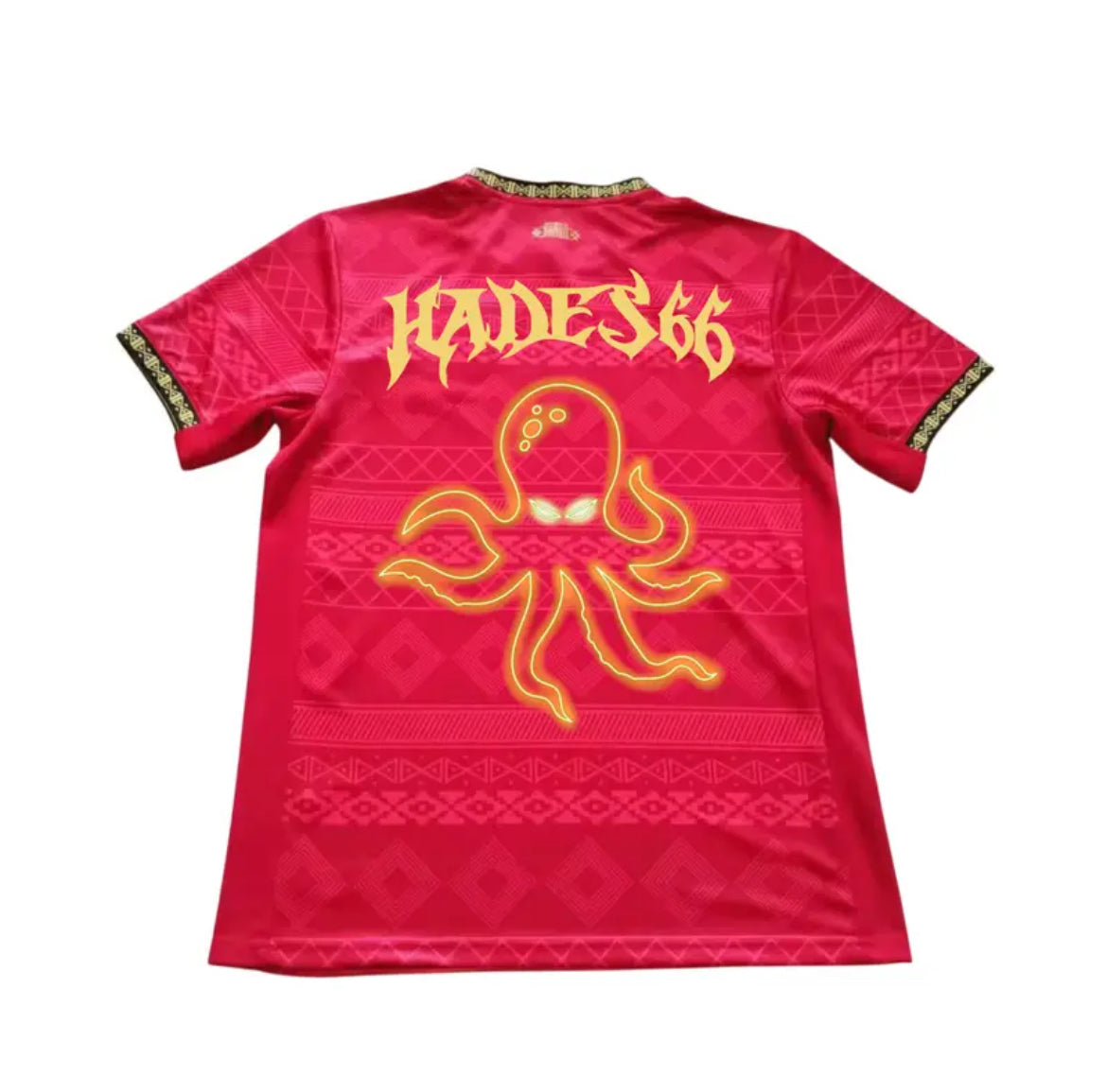 Camiseta Brasil x Hades 66