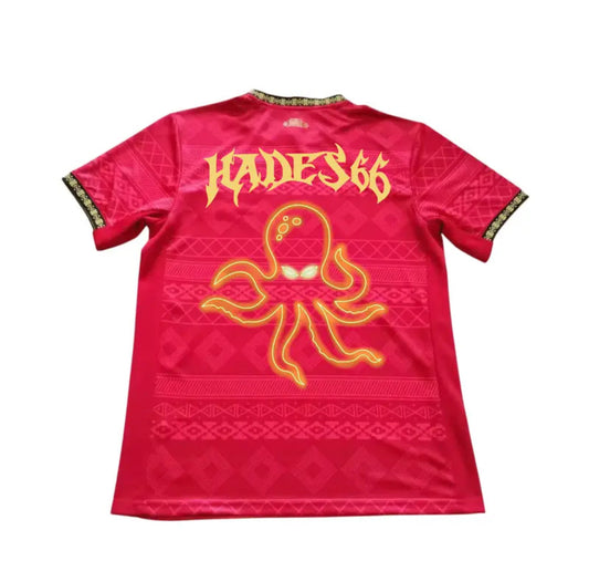 Camiseta Brasil x Hades 66