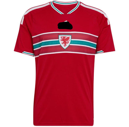 Camiseta Gales 2026
