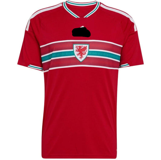 Camiseta Gales 2026