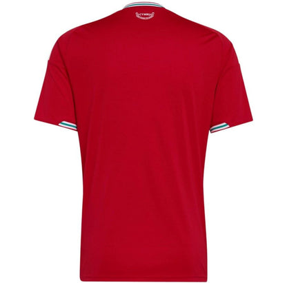 Camiseta Gales 2026
